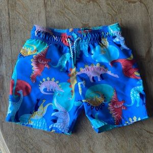 Cat & Jack Swim Shorts